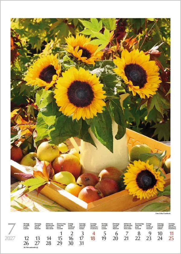 Bild: 9783819300578 | Blumenträume 2027 | Verlag Korsch | Kalender | Spiralbindung | 13 S.