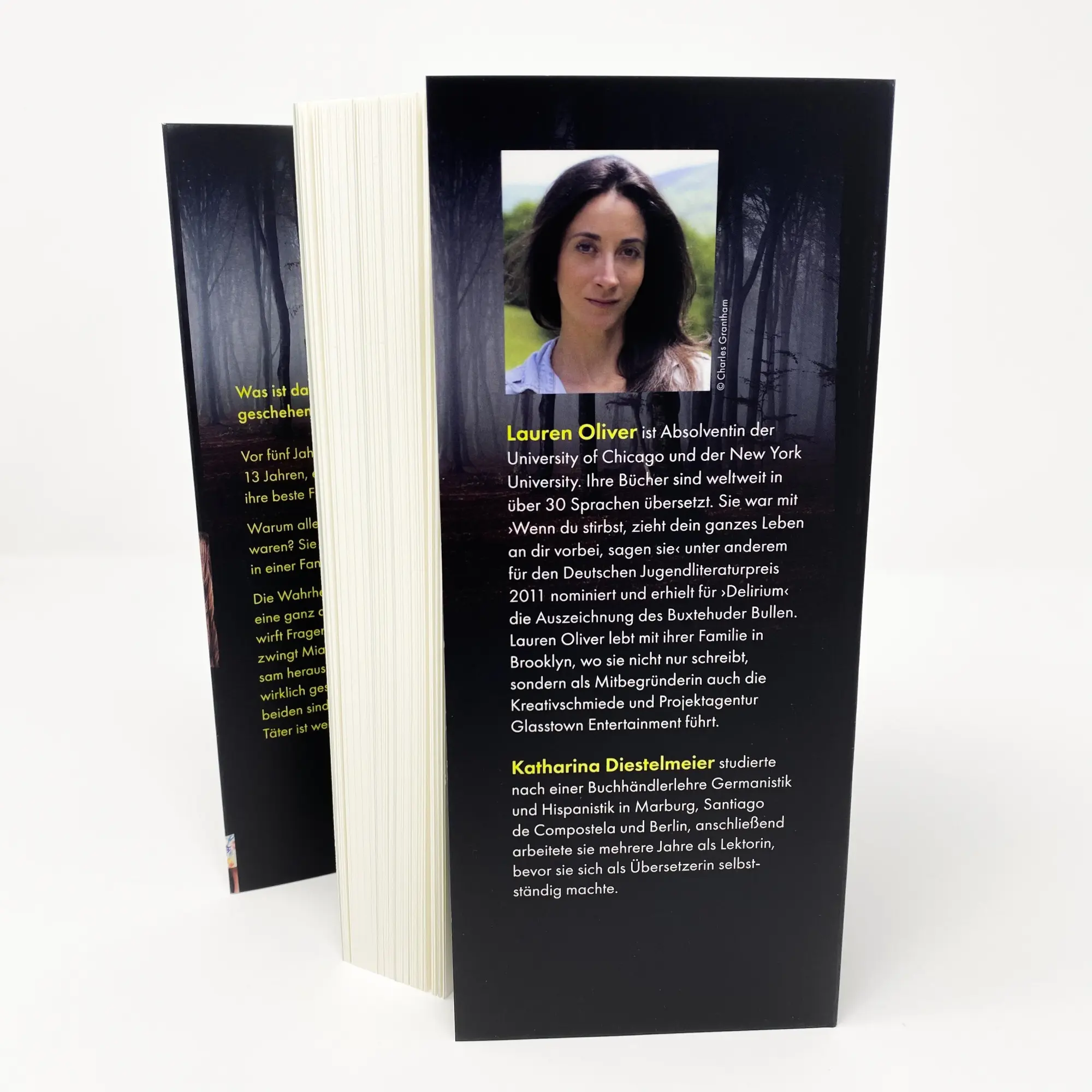 Bild: 9783423740678 | Broken Things - Alles nur (k)ein Spiel | Roman | Lauren Oliver | Buch