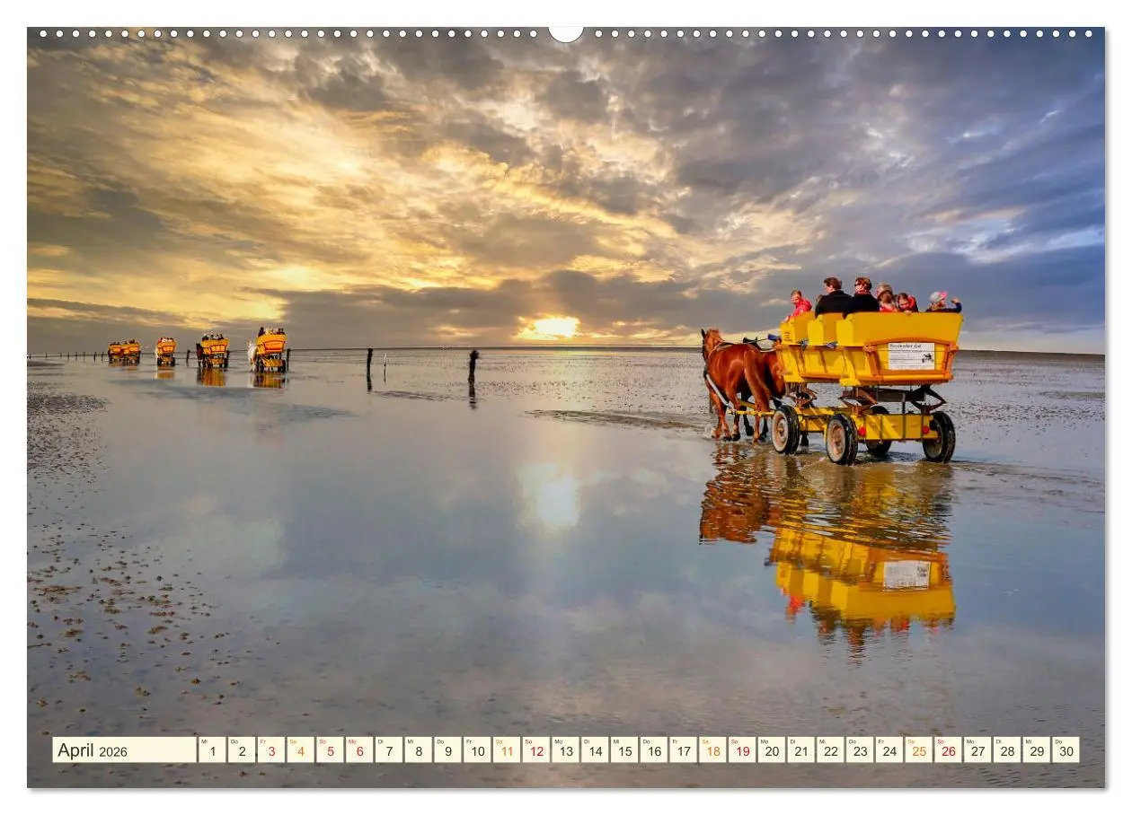 Bild: 9783457640678 | Geliebte Nordsee (Wandkalender 2026 DIN A2 quer), CALVENDO...