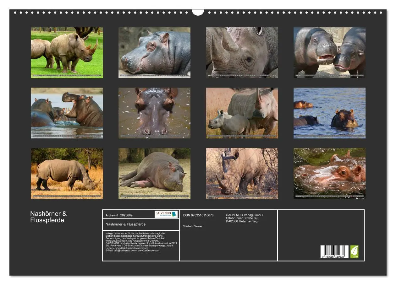 Bild: 9783516110678 | Nashörner &amp; Flusspferde (Wandkalender 2026 DIN A2 quer), CALVENDO...