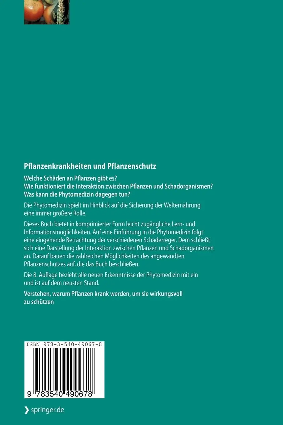 Rückseite: 9783540490678 | Pflanzenkrankheiten und Pflanzenschutz | Horst Börner | Taschenbuch
