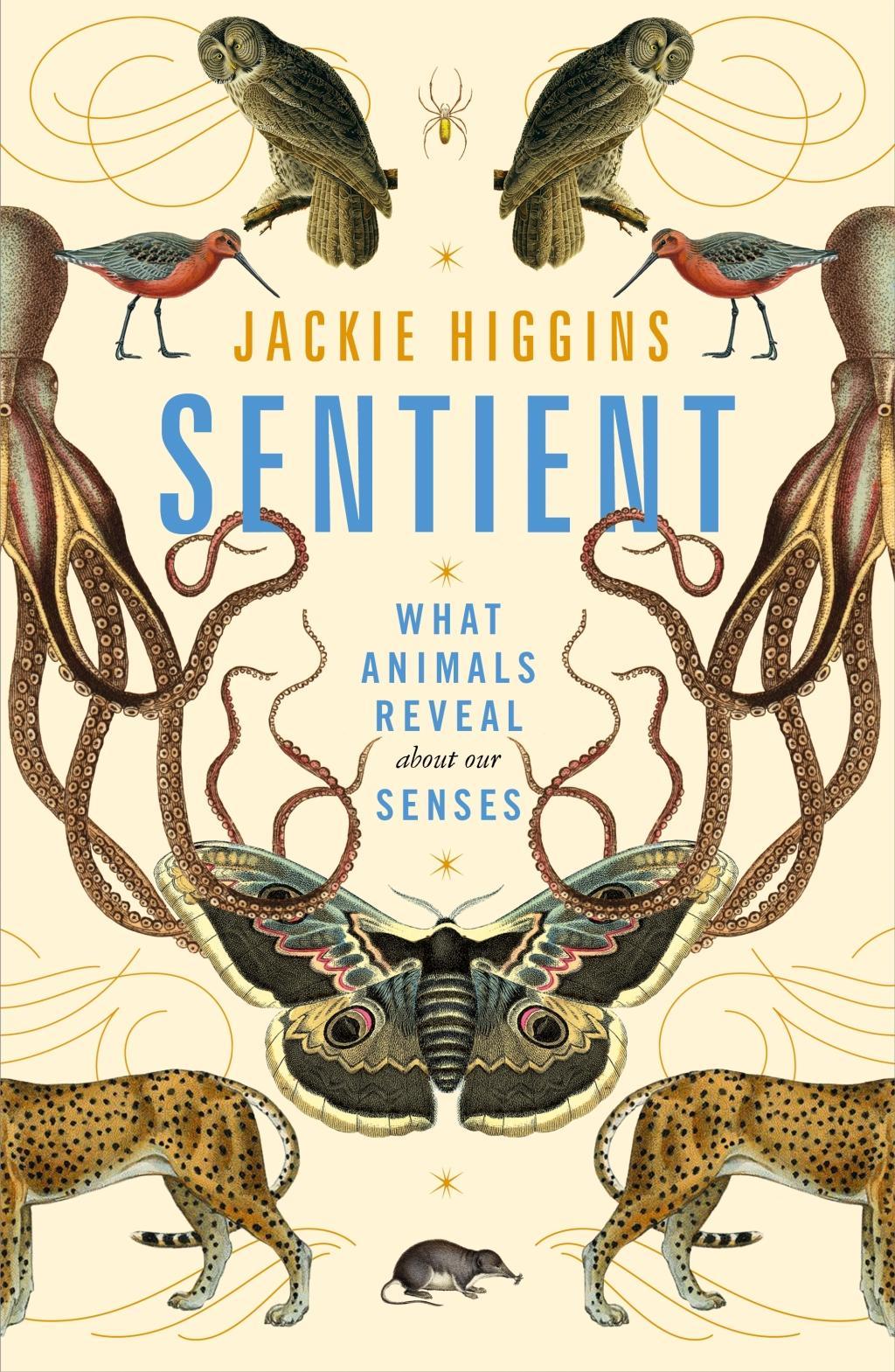 Cover: 9781529030778 | Sentient | What Animals Reveal About Our Senses | Jackie Higgins