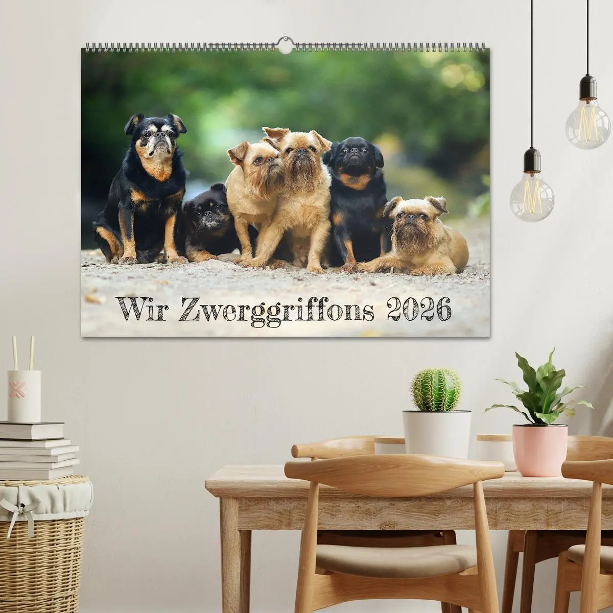 Bild: 9783457560778 | Wir Zwerggriffons 2026 (Wandkalender 2026 DIN A2 quer), CALVENDO...