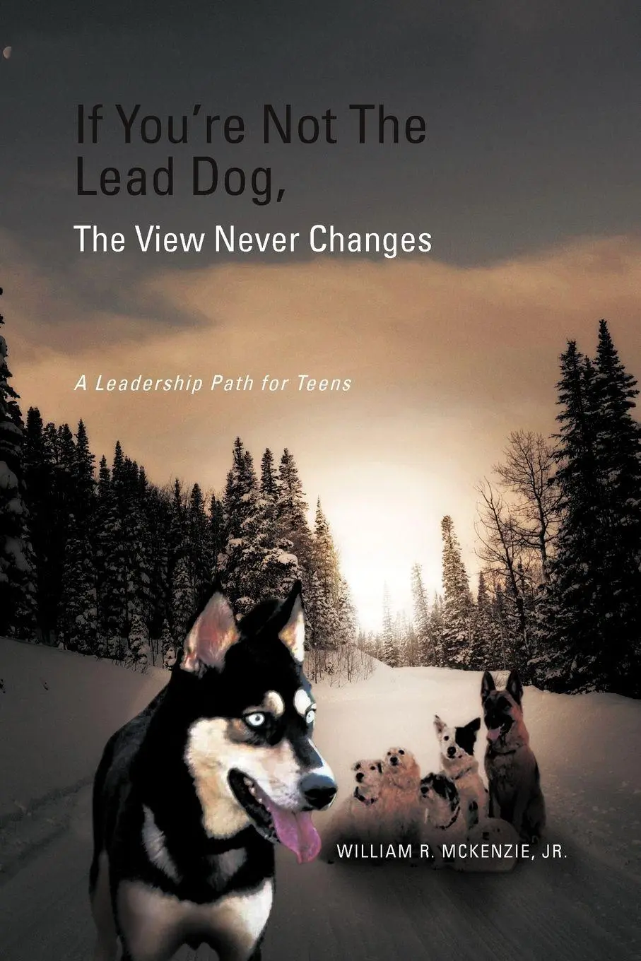 Cover: 9781465360878 | If You're Not The Lead Dog, The View Never Changes | McKenzie | Buch
