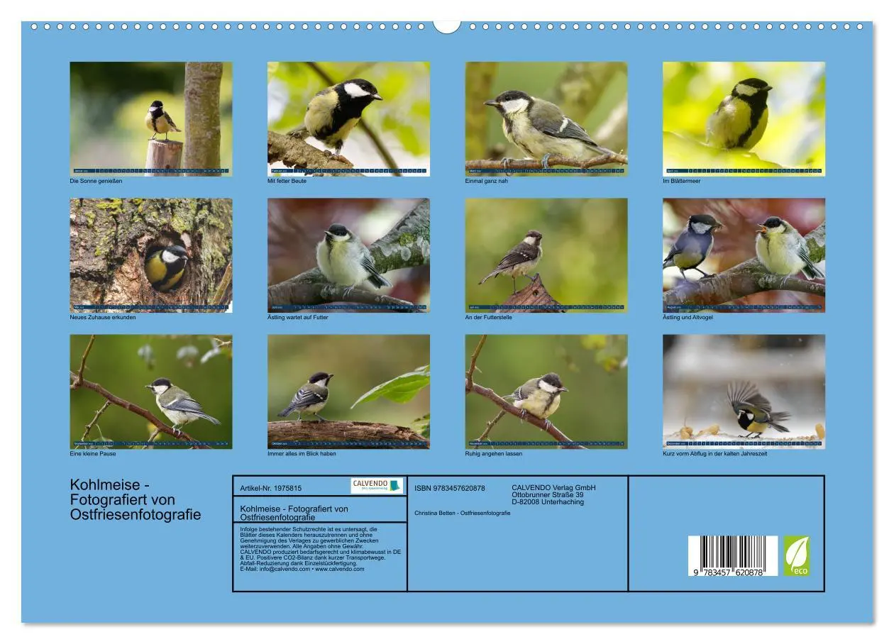 Bild: 9783457620878 | Kohlmeise - Fotografiert von Ostfriesenfotografie (Wandkalender...