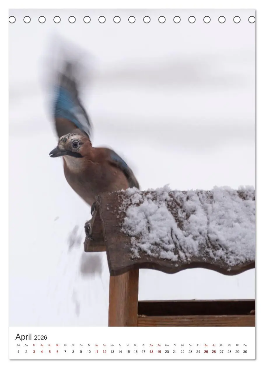 Bild: 9783516330878 | Winter in Lappland - Bezaubernde Schönheit (Tischkalender 2026 DIN...