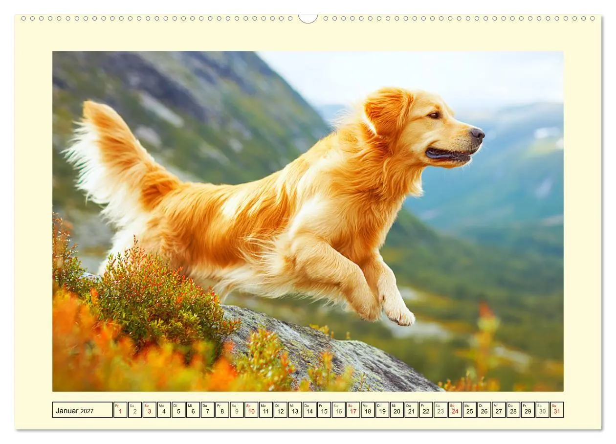 Bild: 9783516950878 | Golden Retriever. Treue Seelenhunde in der Bergwelt (hochwertiger...