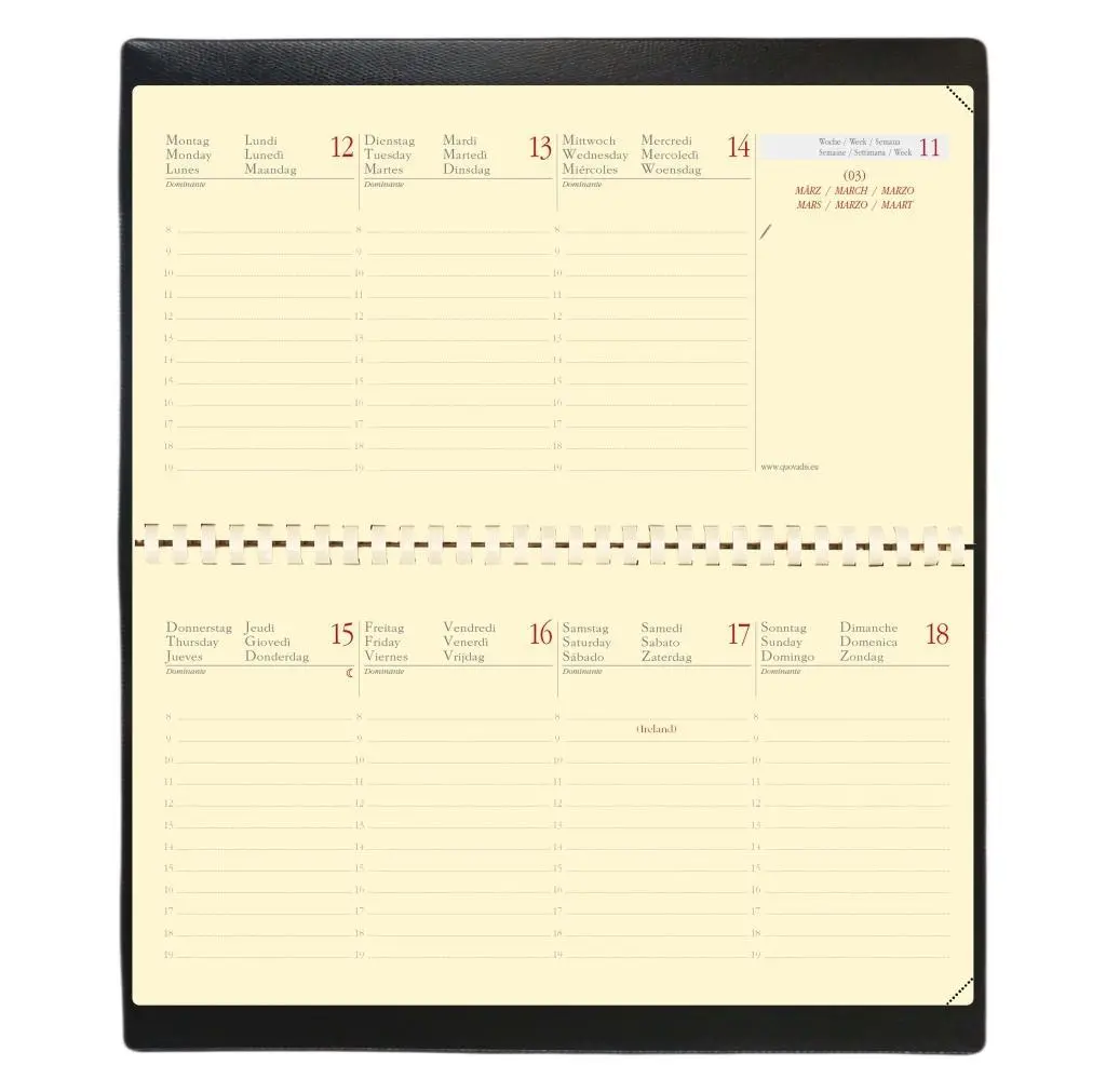 Bild: 3371010140978 | Einlage Planital 2026 | Kalendereinlage | Quo Vadis | Kalender | 2026