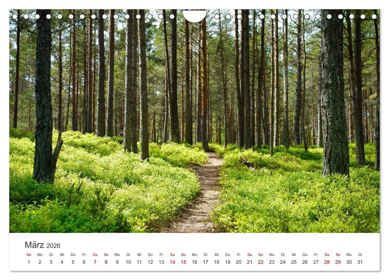 Bild: 9783457610978 | Estland - Ein unbekanntes Paradies. (Wandkalender 2026 DIN A4...