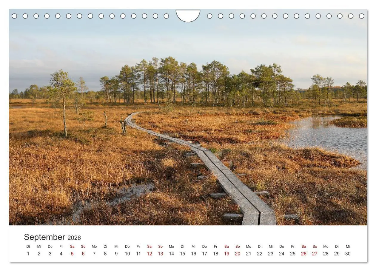 Bild: 9783457610978 | Estland - Ein unbekanntes Paradies. (Wandkalender 2026 DIN A4...