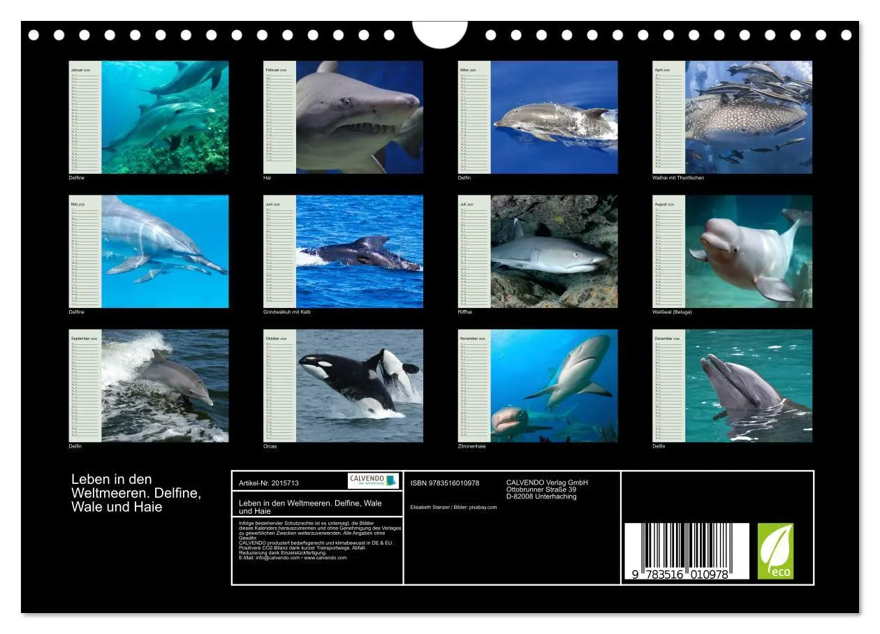 Bild: 9783516010978 | Leben in den Weltmeeren. Delfine, Wale und Haie (Wandkalender 2026...