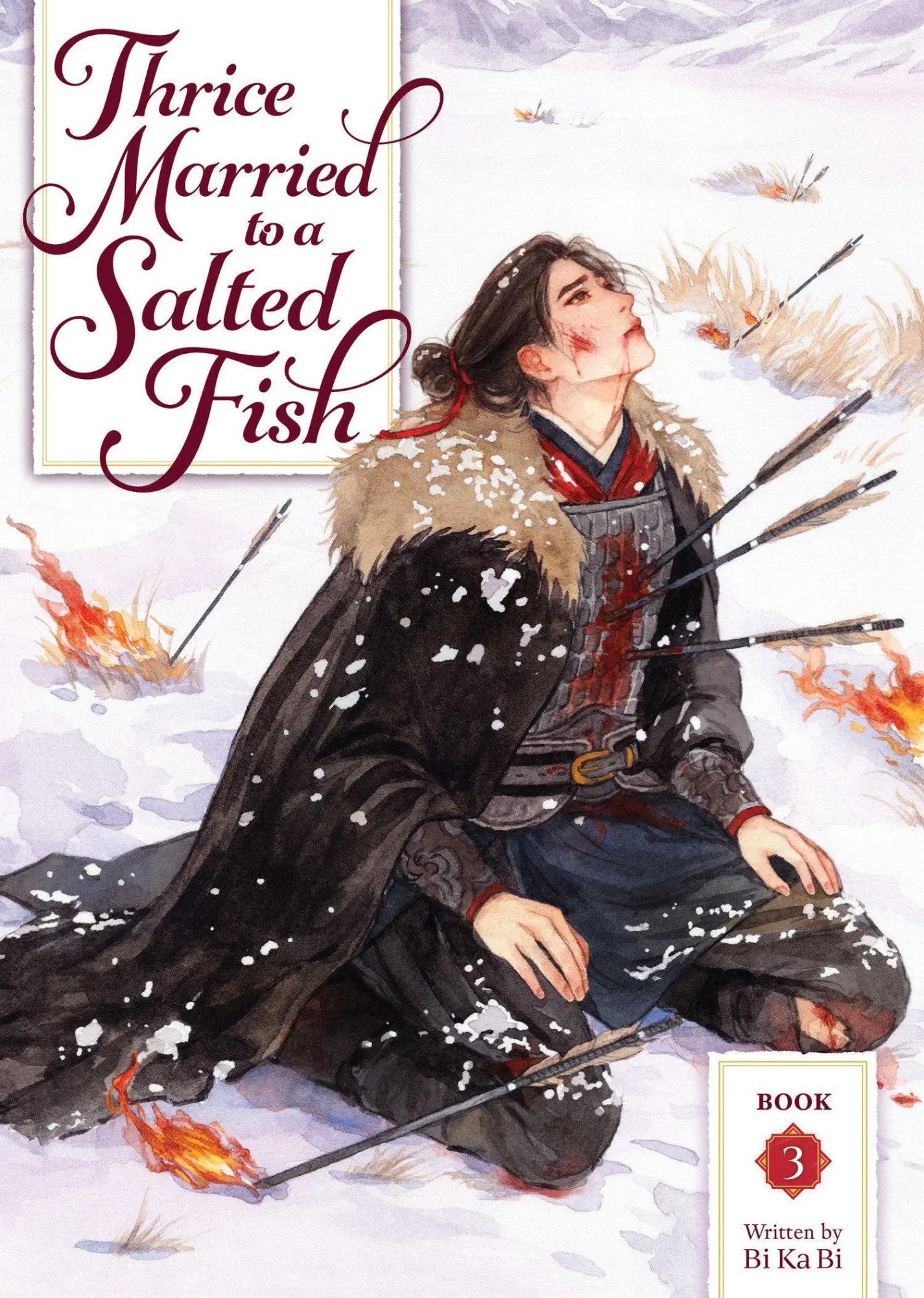 Cover: 9798895610978 | Thrice Married to a Salted Fish (Novel) Vol. 3 | Bi Ka Bi | Buch