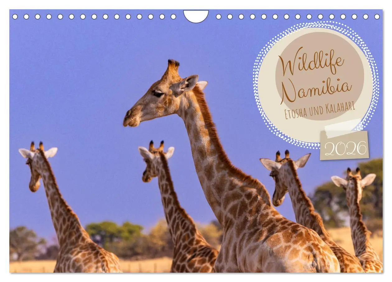 Cover: 9783457361078 | Wildlife Namibia - Etosha und Kalahari (Wandkalender 2026 DIN A4...