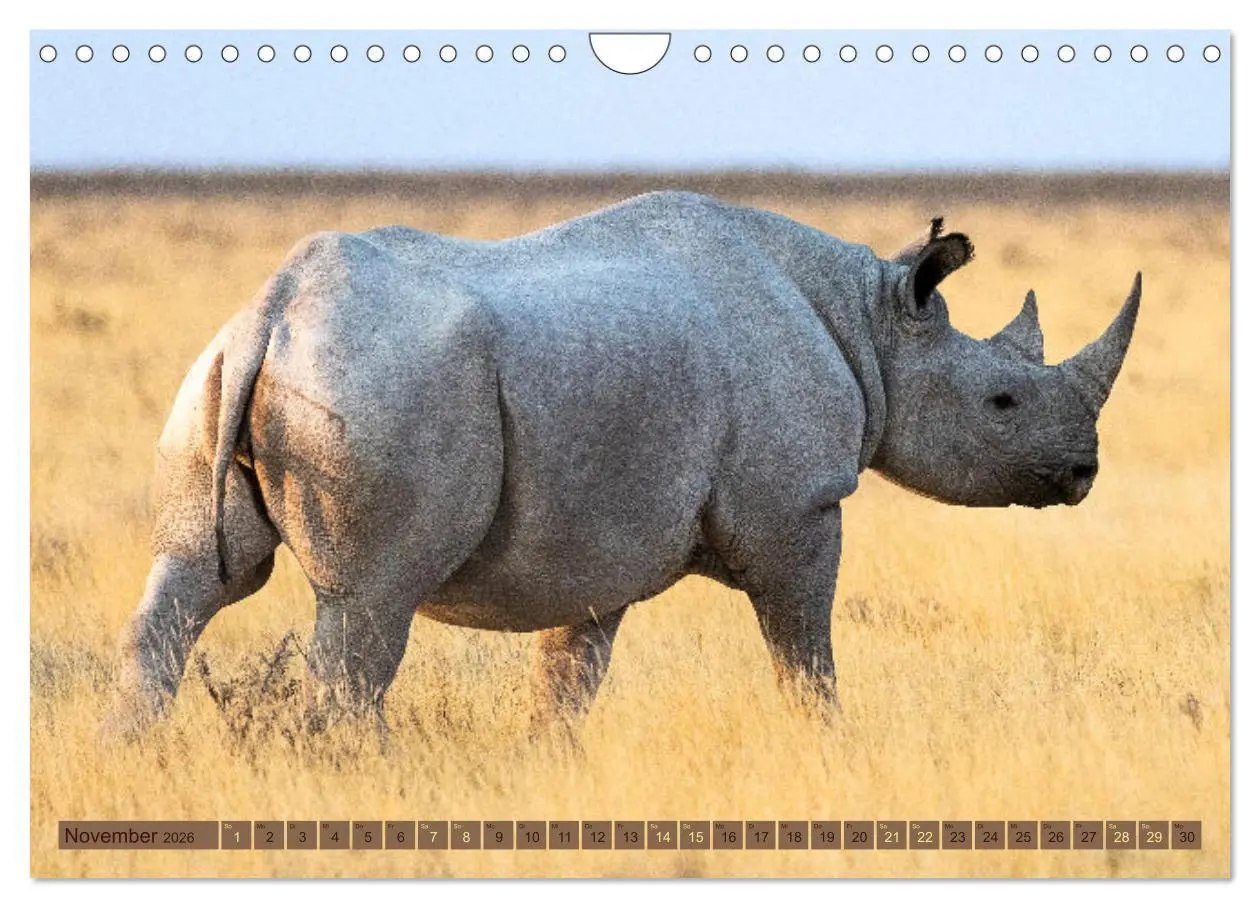 Bild: 9783457361078 | Wildlife Namibia - Etosha und Kalahari (Wandkalender 2026 DIN A4...