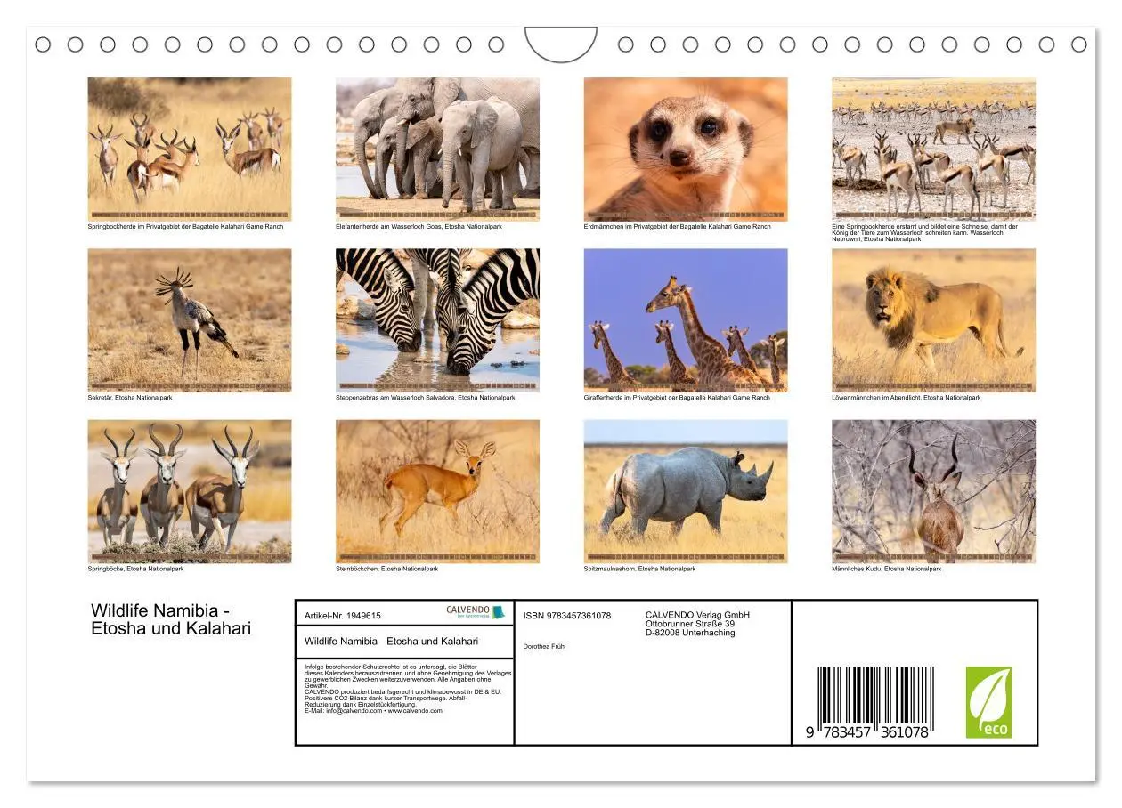 Bild: 9783457361078 | Wildlife Namibia - Etosha und Kalahari (Wandkalender 2026 DIN A4...