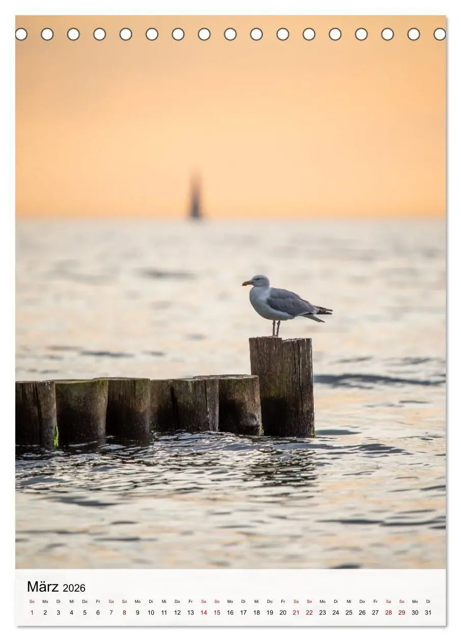 Bild: 9783516691078 | Fischland-Darß-Zingst - Im Licht des Nordens (Tischkalender 2026...