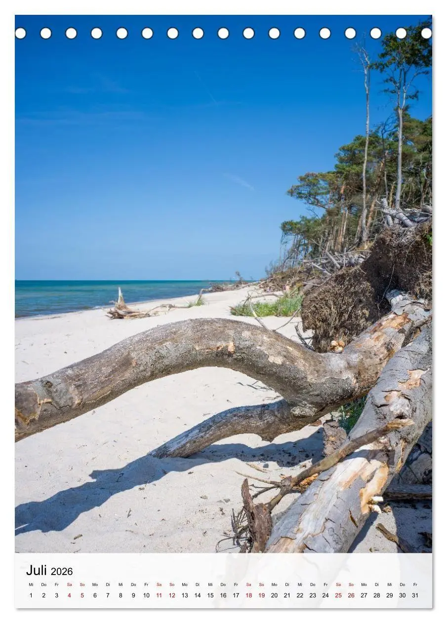 Bild: 9783516691078 | Fischland-Darß-Zingst - Im Licht des Nordens (Tischkalender 2026...