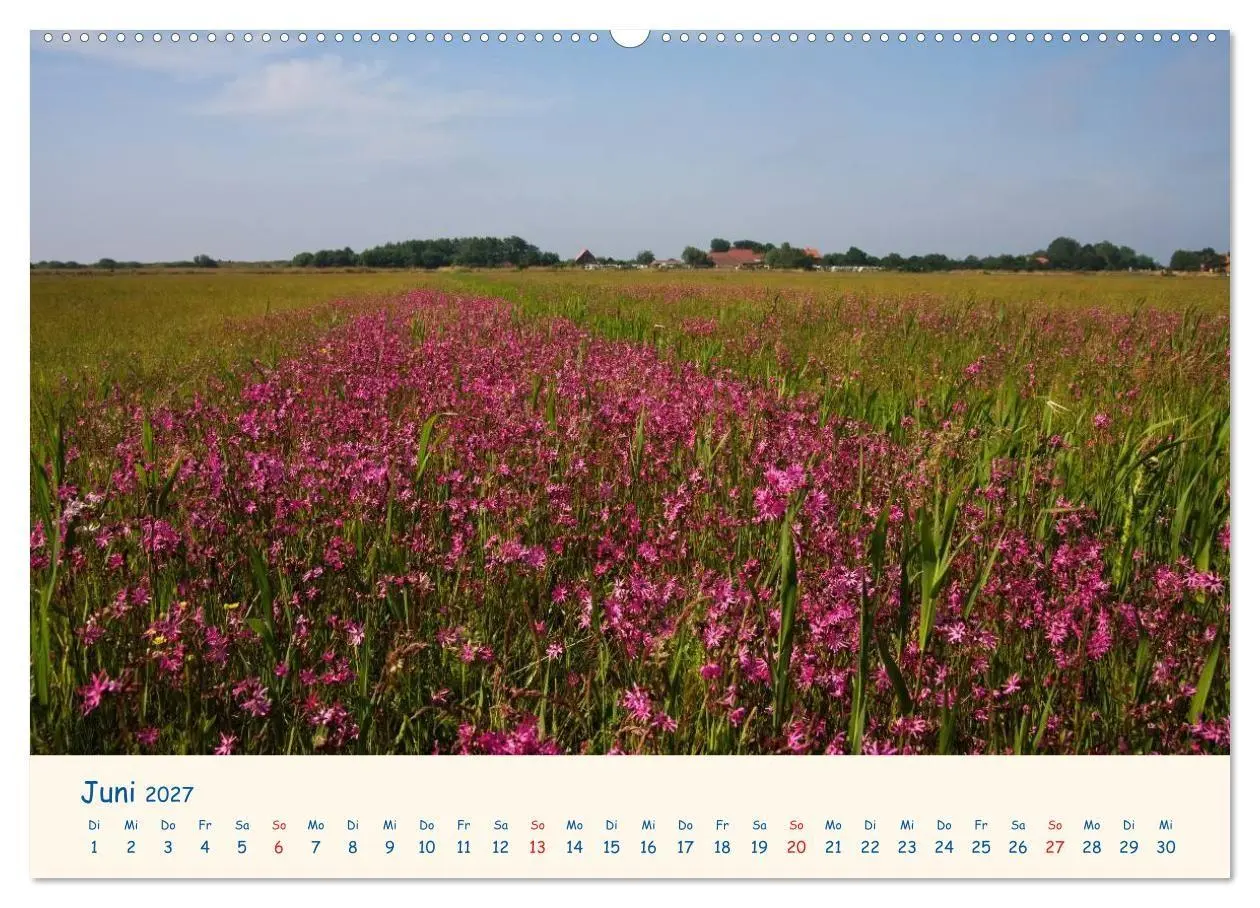 Bild: 9783594121078 | Urlaub auf Borkum (hochwertiger Premium Wandkalender 2027 DIN A2...