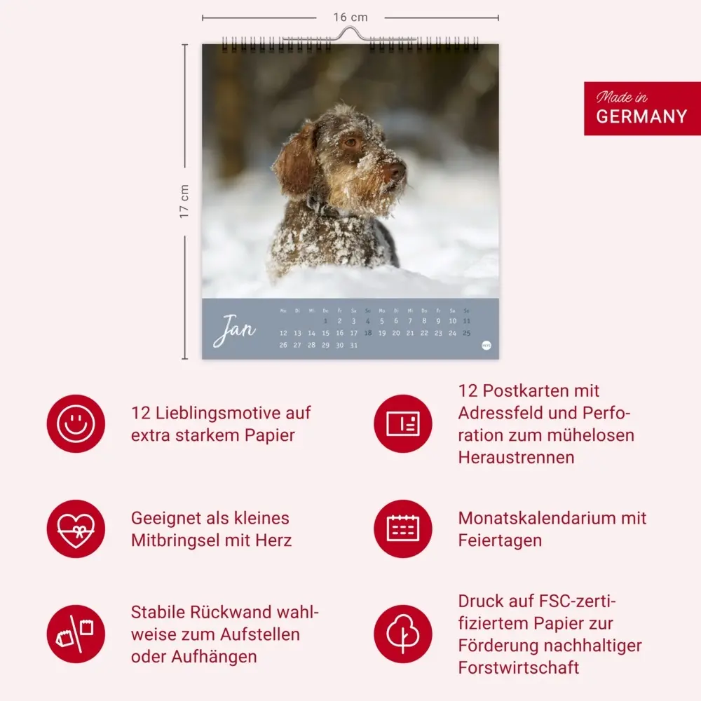 Bild: 9783756411078 | Dackel Postkartenkalender 2026 | Heye | Kalender | Spiralbindung