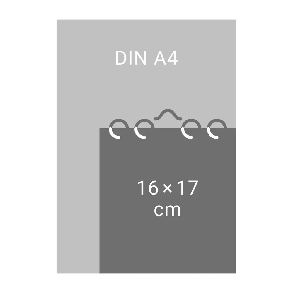 Bild: 9783756411078 | Dackel Postkartenkalender 2026 | Heye | Kalender | Spiralbindung