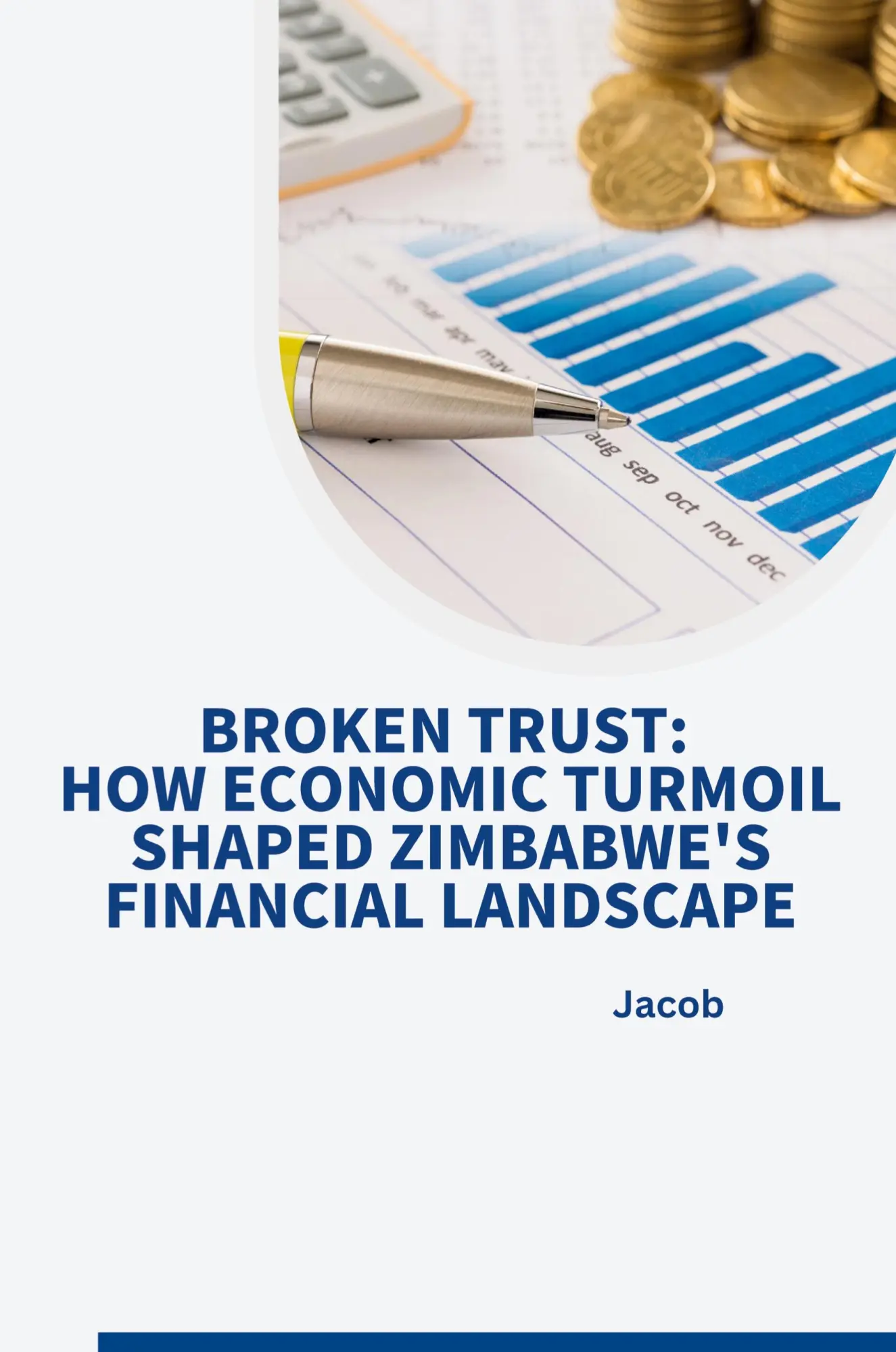 Broken Trust How Economic Turmoil Shaped Zimbabwes Financial Landscape - Jacob Kartoniert (TB)