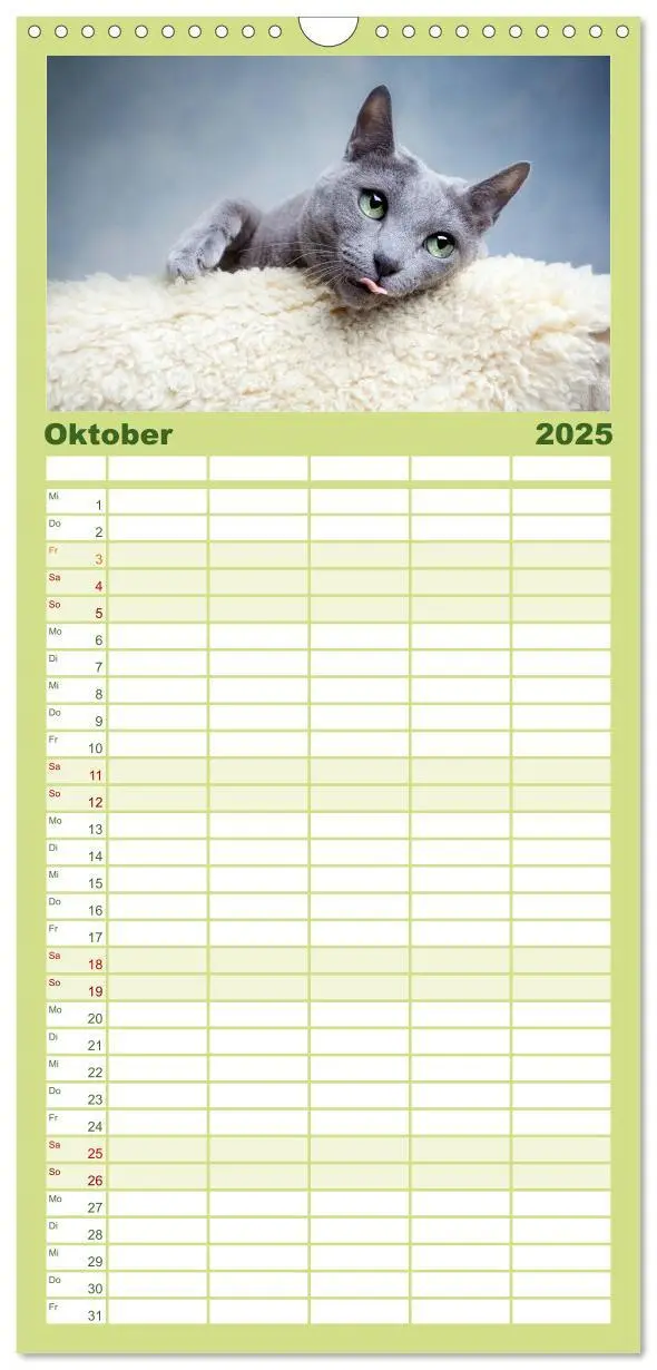 Bild: 9783457111178 | Familienplaner 2025 - Katzen mit 5 Spalten (Wandkalender, 21 x 45...