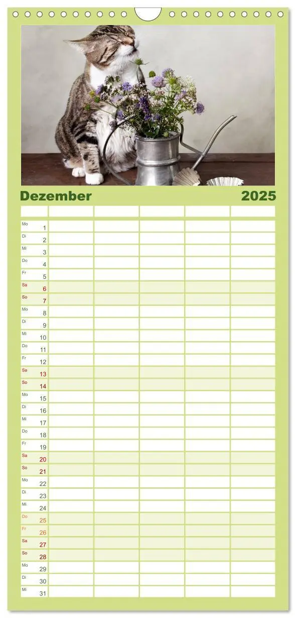 Bild: 9783457111178 | Familienplaner 2025 - Katzen mit 5 Spalten (Wandkalender, 21 x 45...
