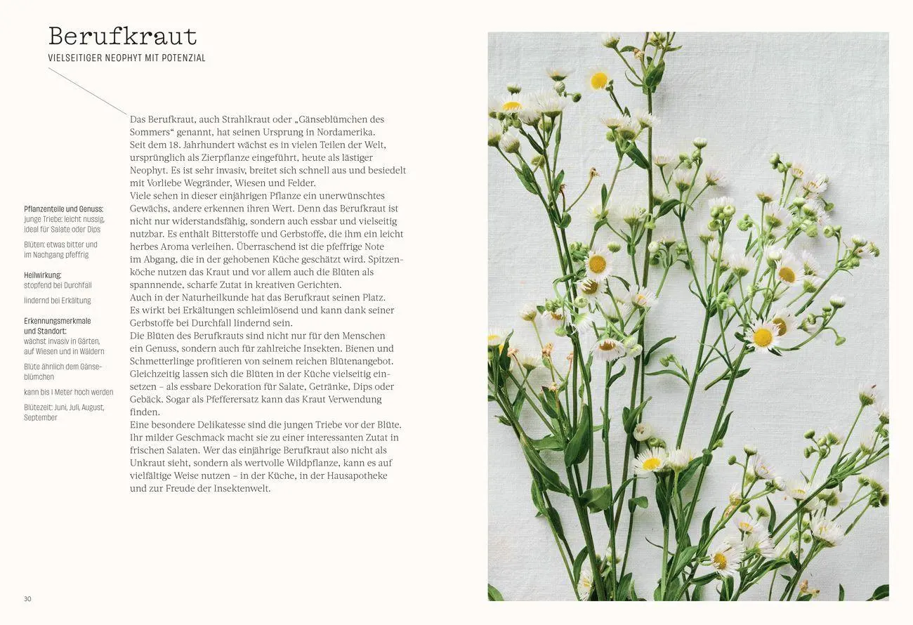 Bild: 9783799521178 | Wild. Kräuter. Vielfalt | Vera Mücke (u. a.) | Buch | 184 S. | Deutsch