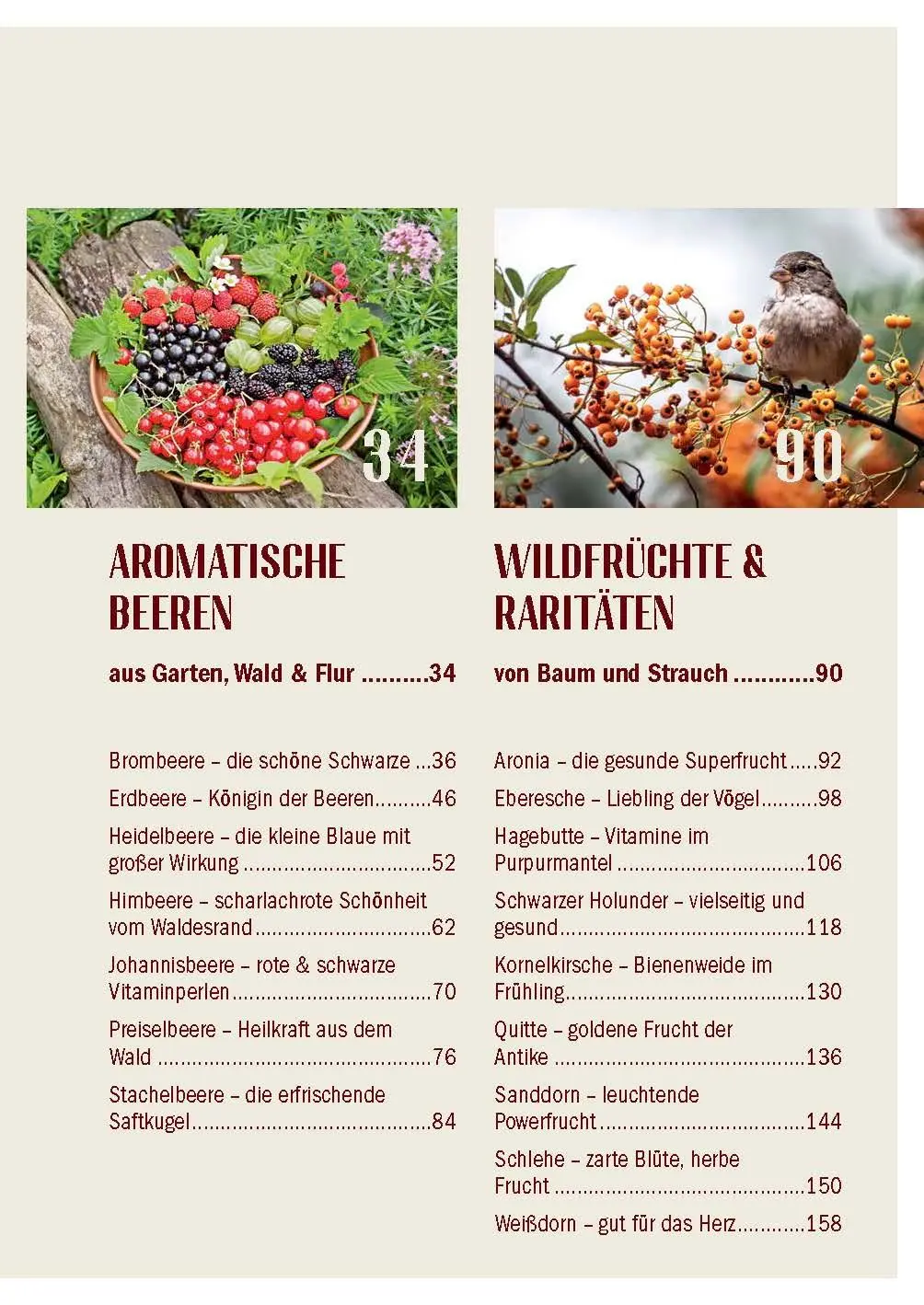 Bild: 9783955871178 | Heimische Früchte - Rezepte-Buch für saionales &amp; regionales Wild-...