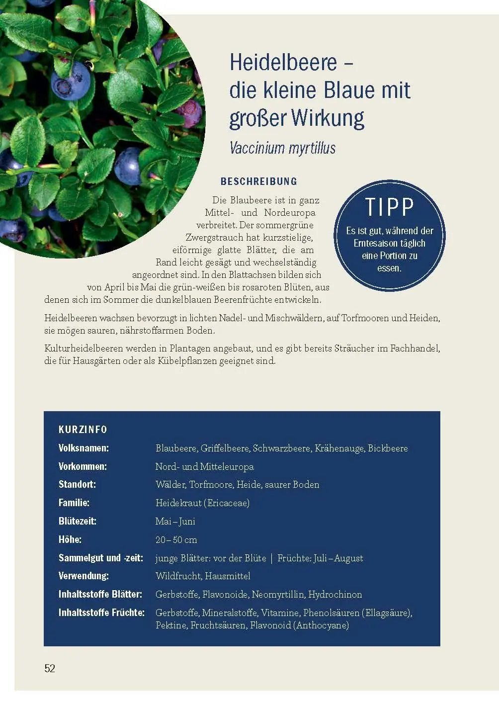 Bild: 9783955871178 | Heimische Früchte - Rezepte-Buch für saionales &amp; regionales Wild-...