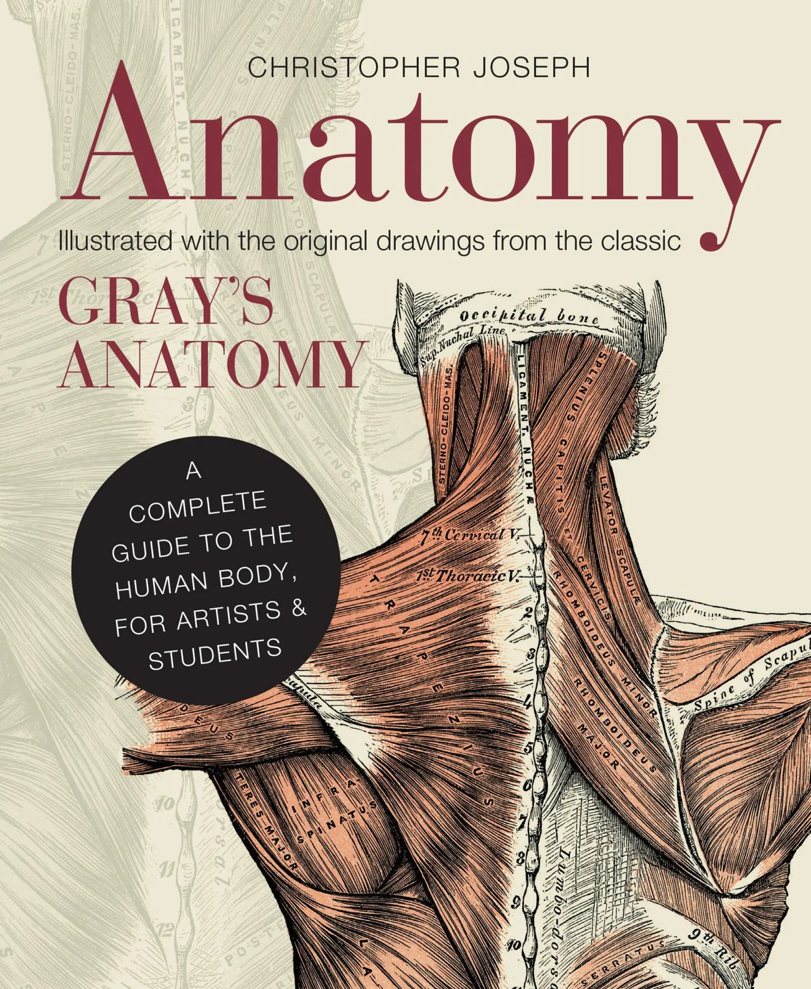 Cover: 9781782401278 | Anatomy | A Complete Guide to the Human Body, for Artists & Students Cover: 9781782401278 | Anatomy | A Complete Guide to the Human Body, for Artists & Students