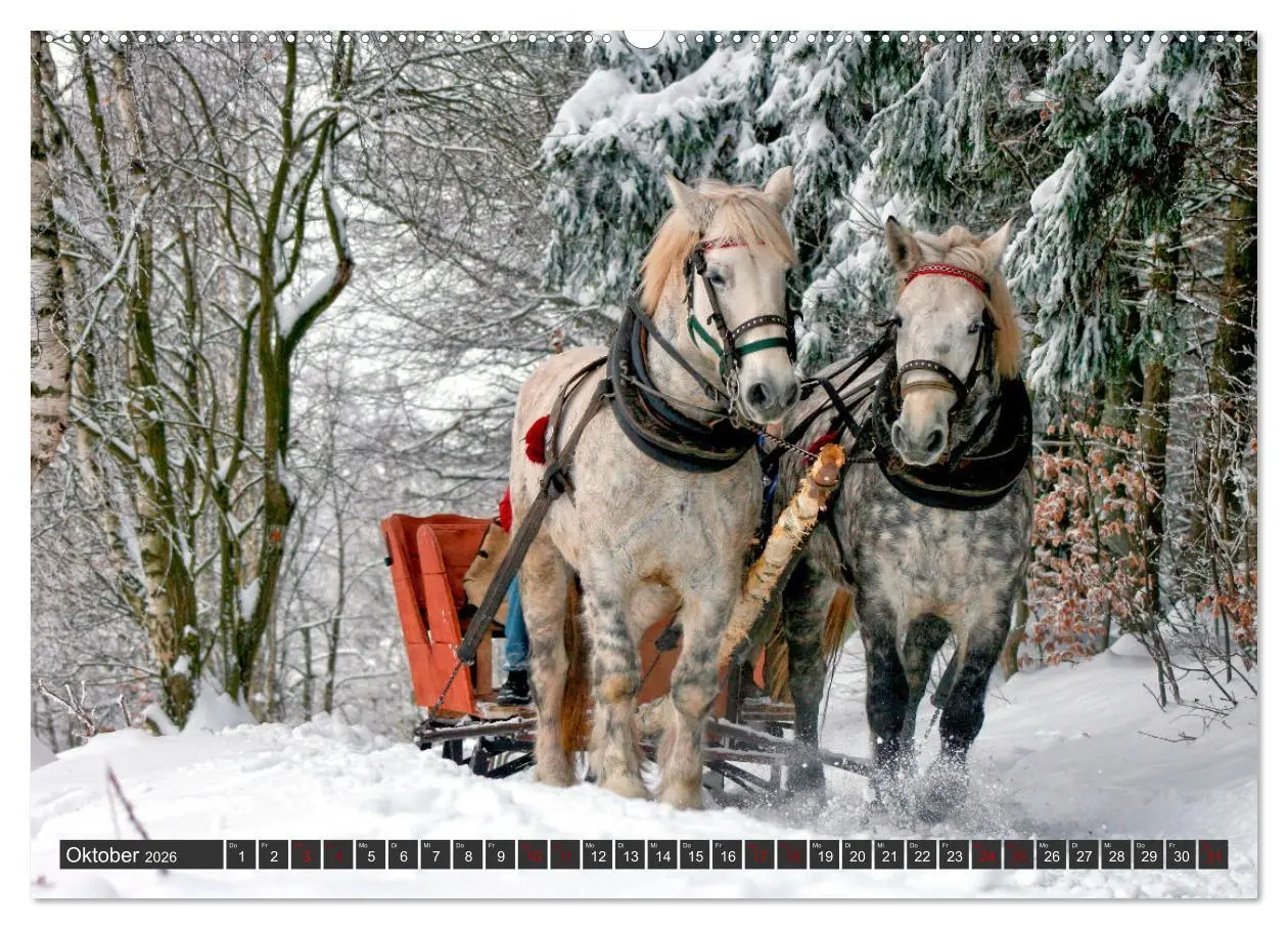 Bild: 9783457651278 | Ich liebe Winter (hochwertiger Premium Wandkalender 2026 DIN A2...