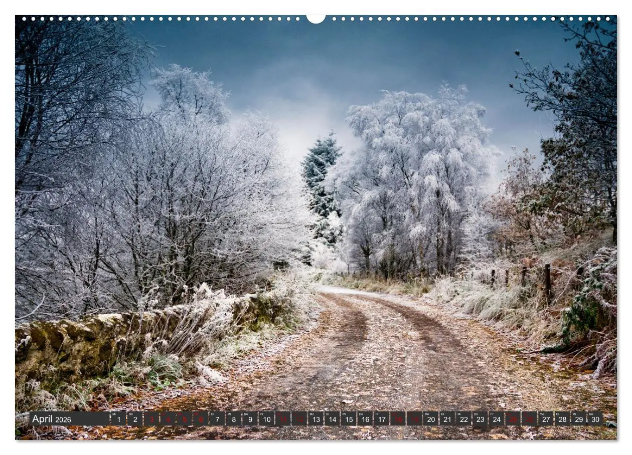 Bild: 9783457651278 | Ich liebe Winter (hochwertiger Premium Wandkalender 2026 DIN A2...
