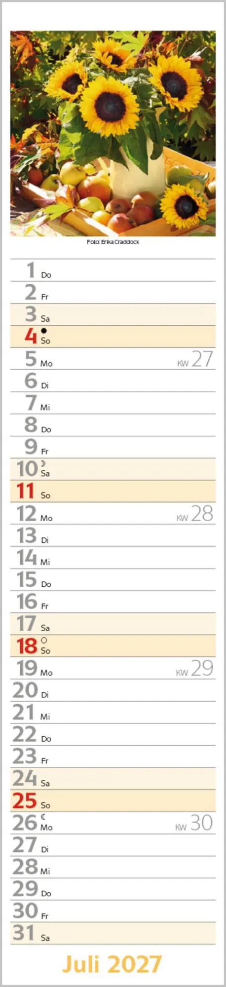 Bild: 9783819301278 | Flowers Langplaner 2027 | Langplaner | Verlag Korsch | Kalender | 2027