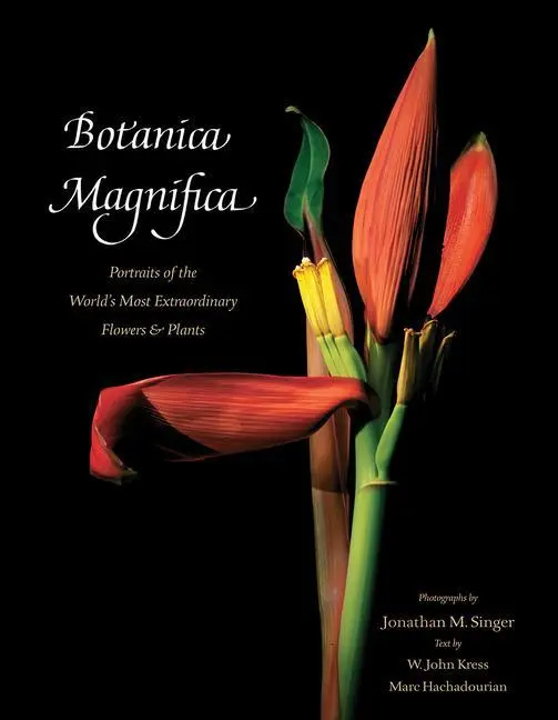 Cover: 9780789211378 | Botanica Magnifica | Jonathan Singer | Buch | Gebunden | Englisch