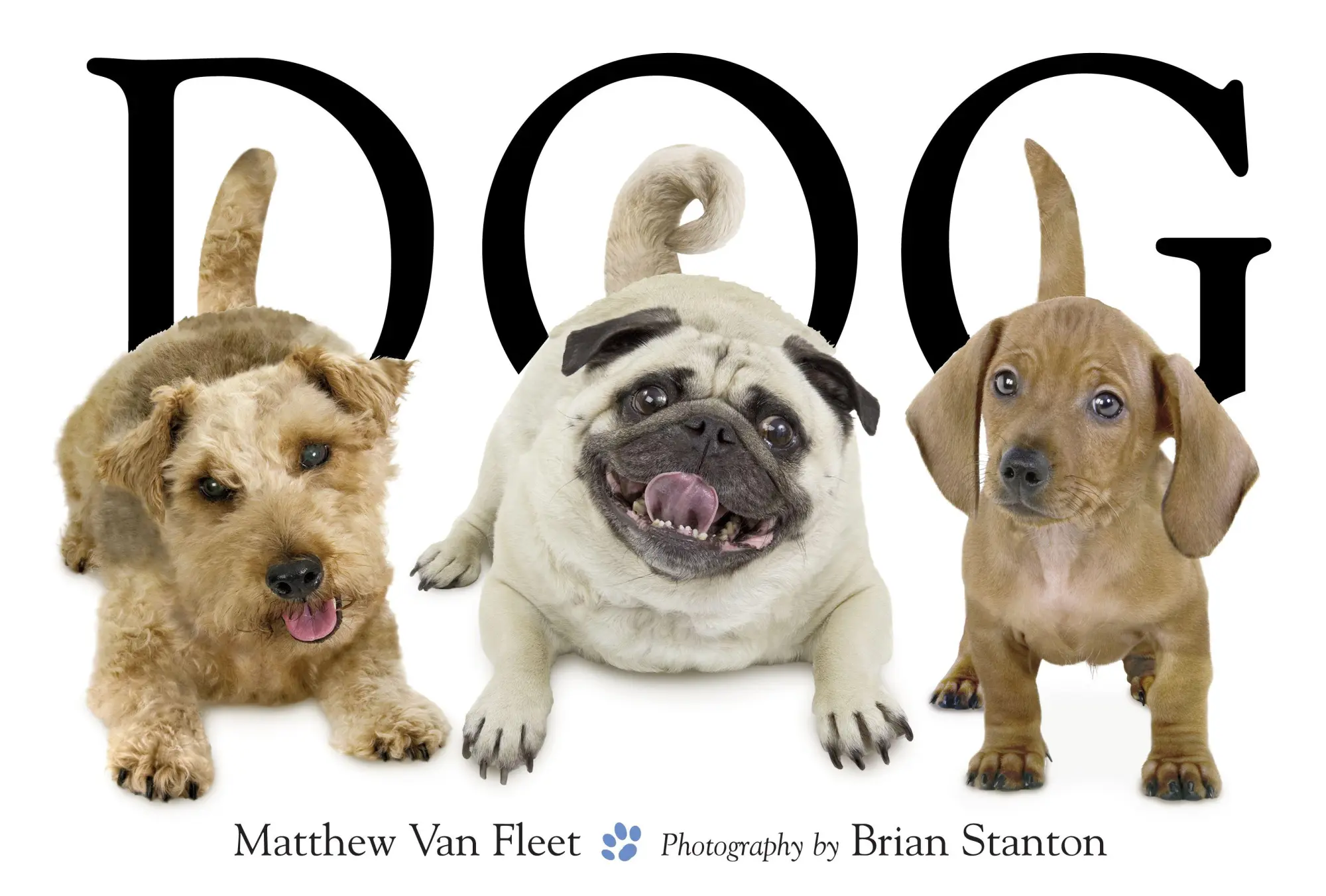 Cover: 9781416941378 | Dog | Matthew Van Fleet | Buch | Gebunden | Englisch | 2007