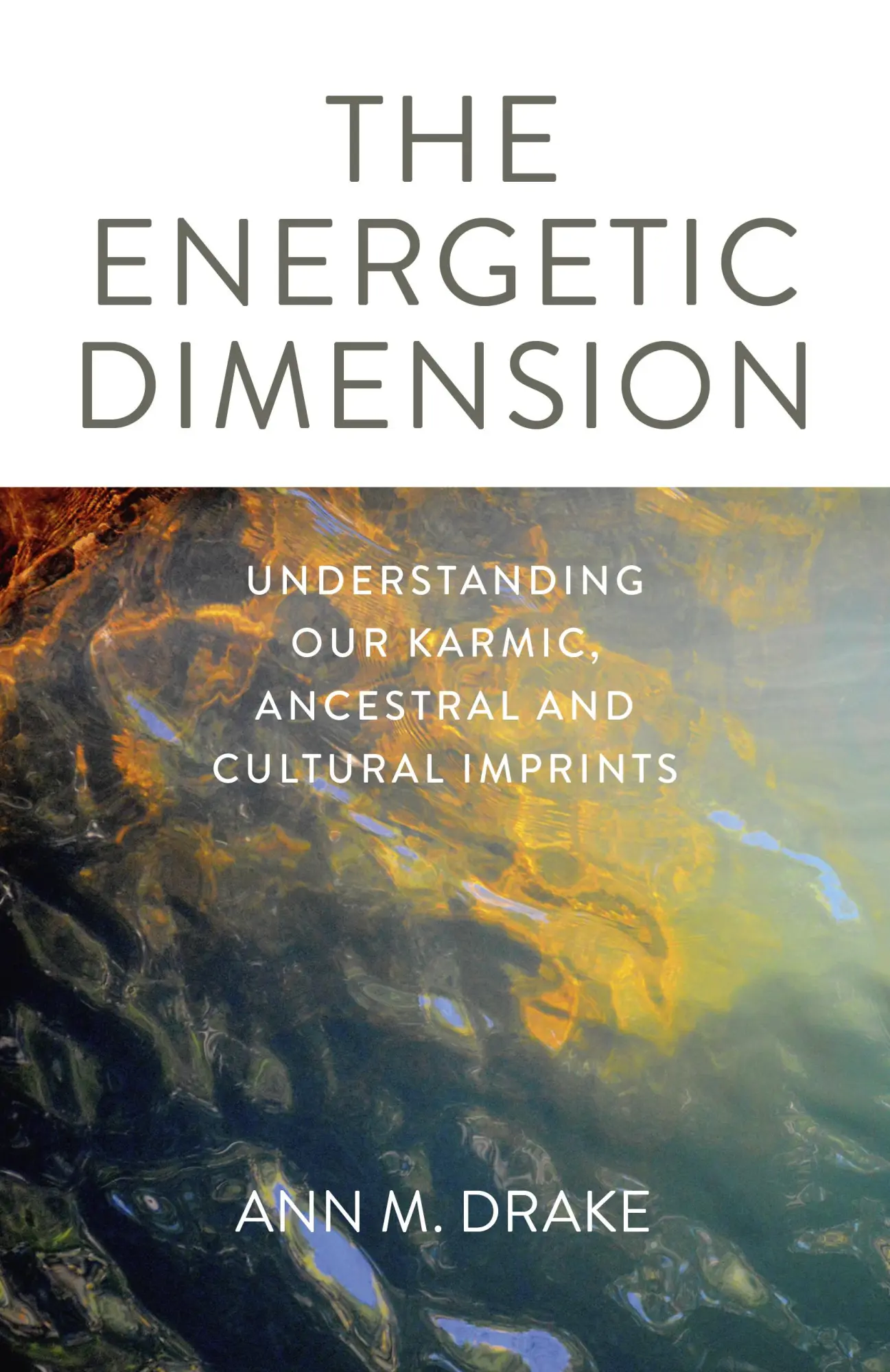 Cover: 9781789041378 | The Energetic Dimension | Ann M Drake | Taschenbuch | Englisch | 2019