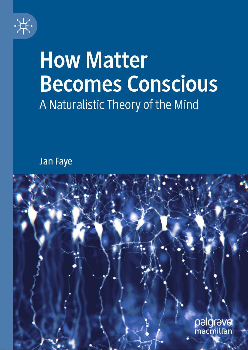 Cover: 9783030161378 | How Matter Becomes Conscious | A Naturalistic Theory of the Mind