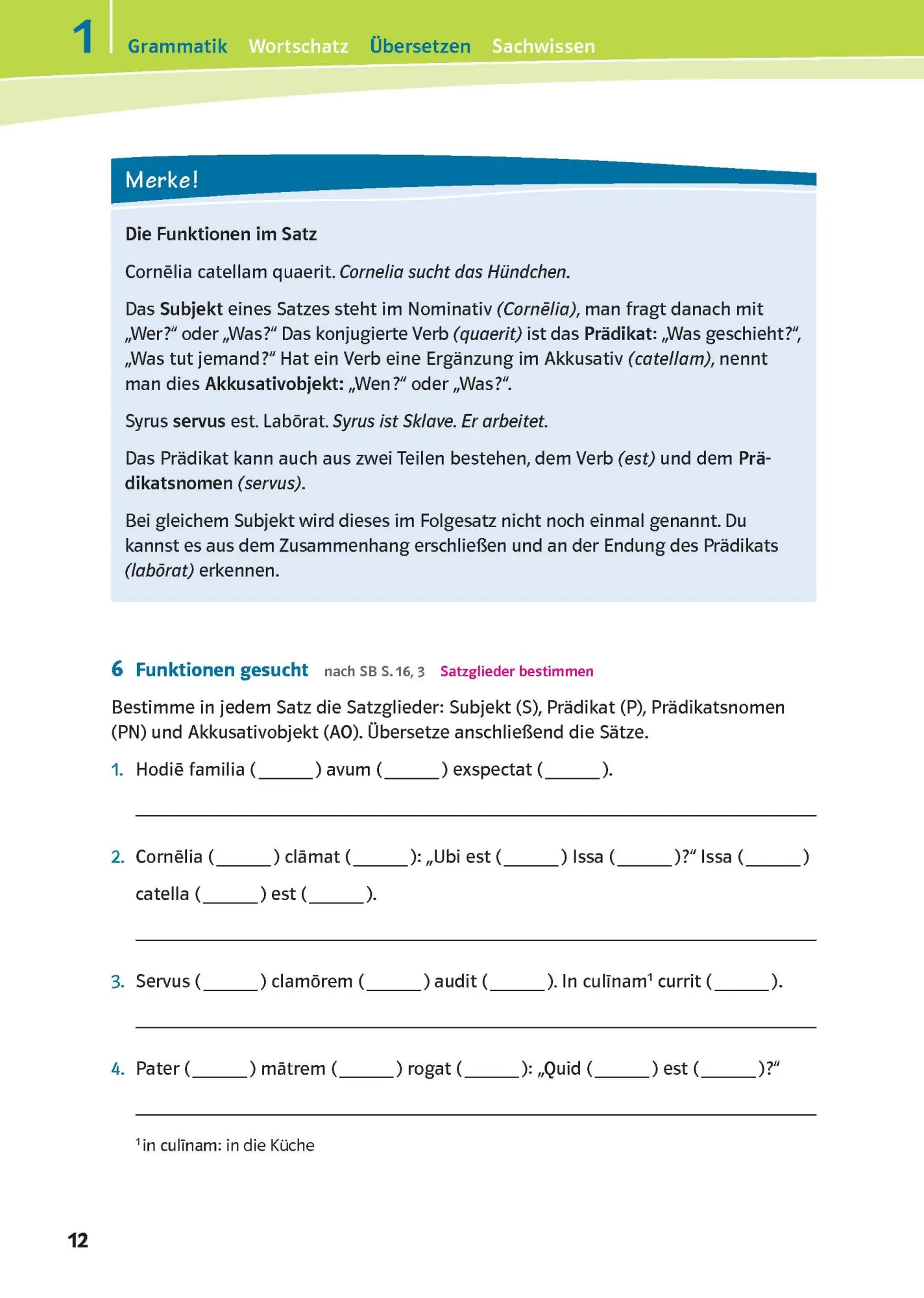 Bild: 9783129261378 | Pontes 1. Das Trainingsbuch zum Schulbuch | Maria Anna Söllner | Buch