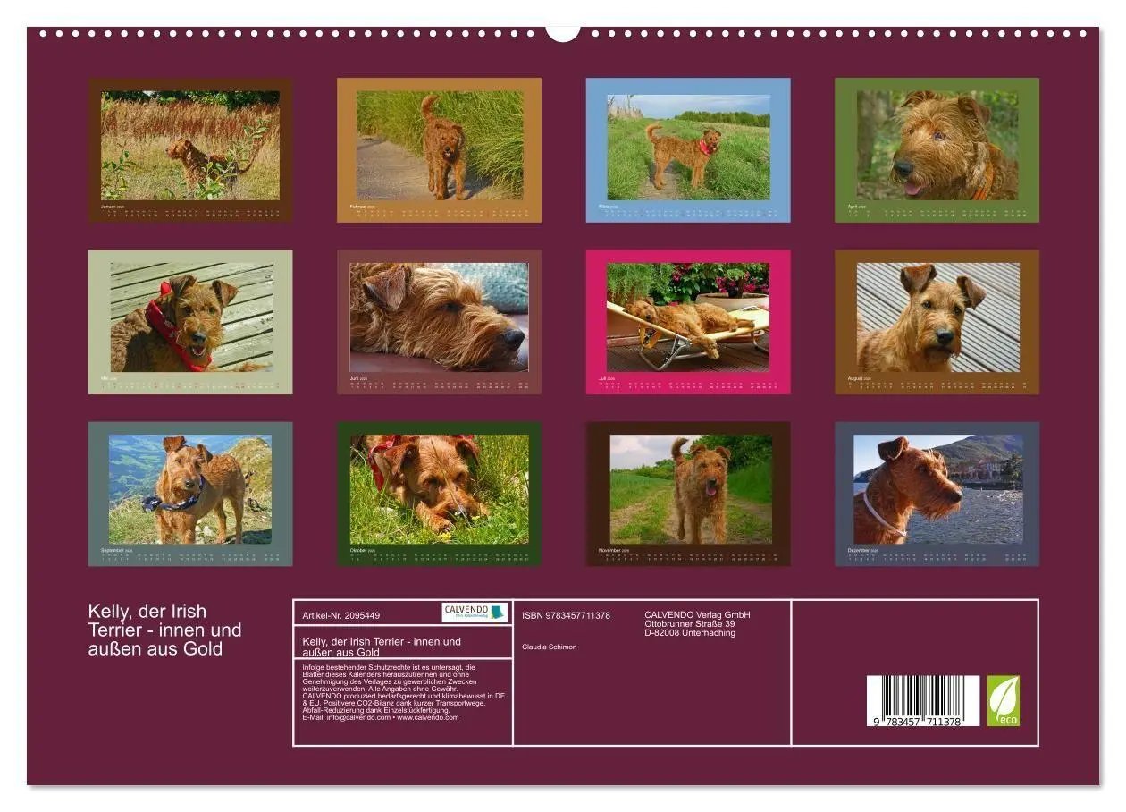 Bild: 9783457711378 | Kelly, der Irish Terrier - innen und außen aus Gold (hochwertiger...