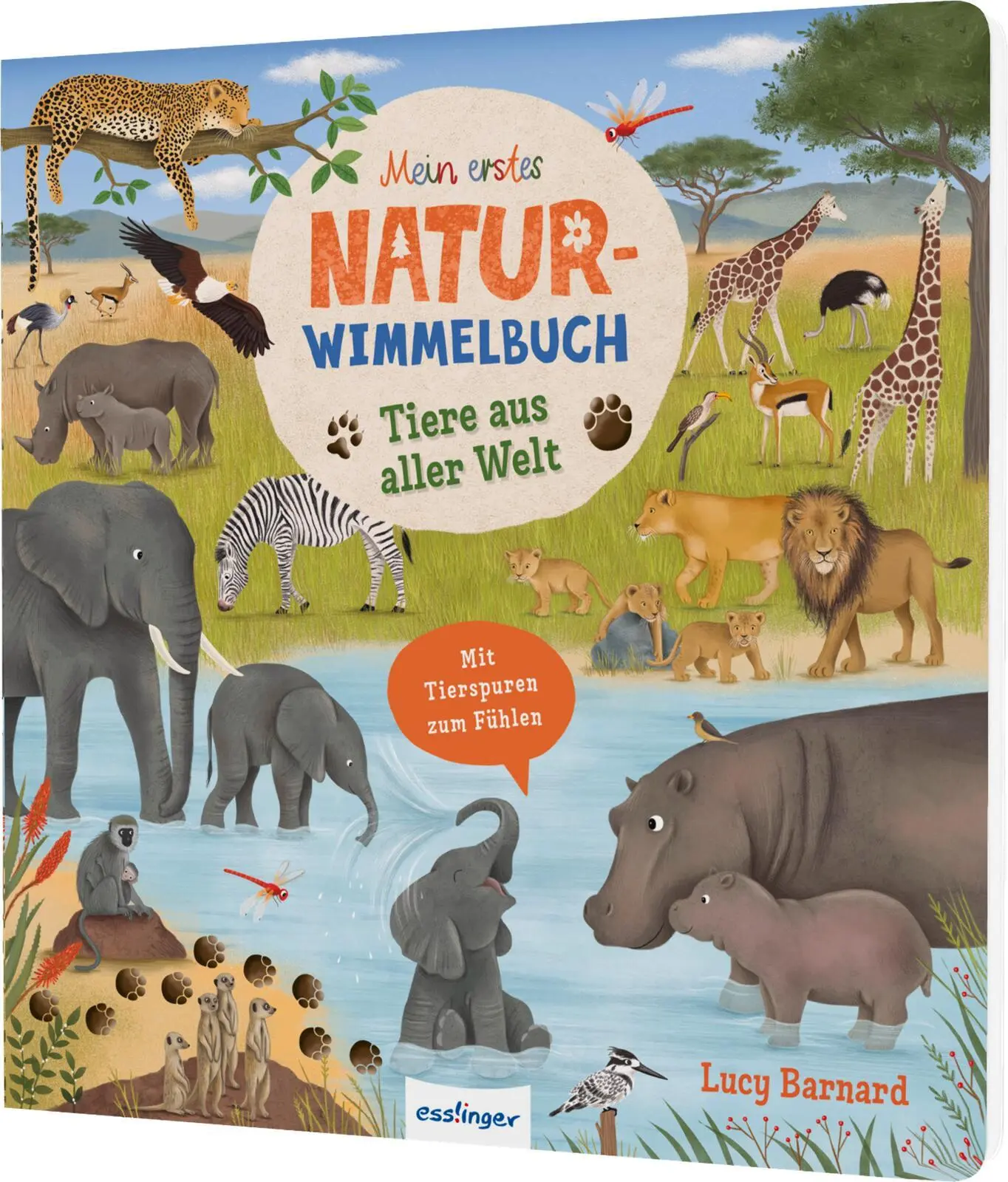 Cover: 9783480241378 | Tiere aus aller Welt | Katharina Lotz | Buch | 16 S. | Deutsch | 2026