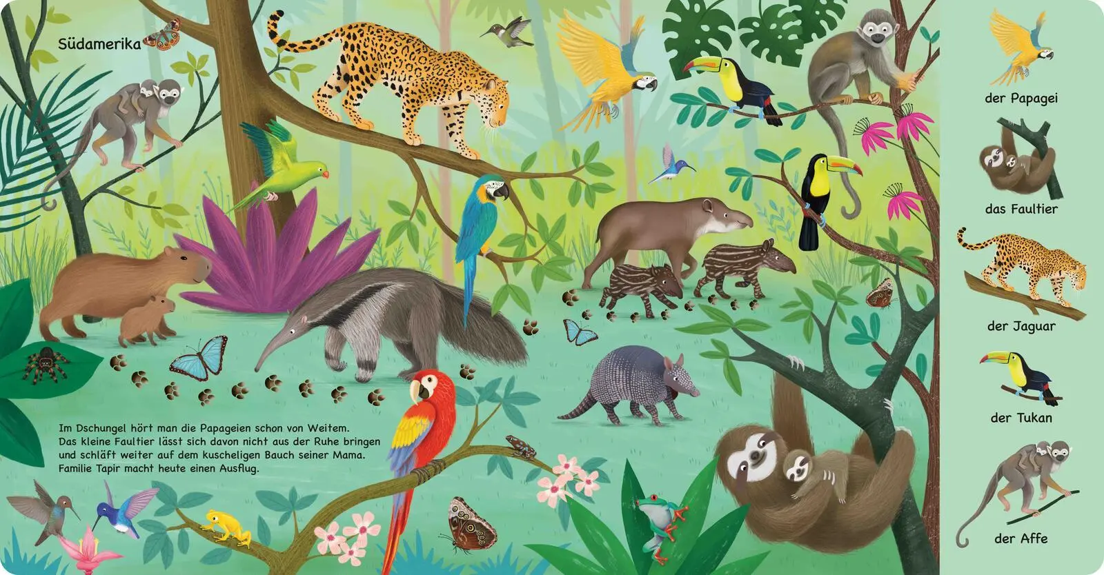 Bild: 9783480241378 | Tiere aus aller Welt | Katharina Lotz | Buch | 16 S. | Deutsch | 2026