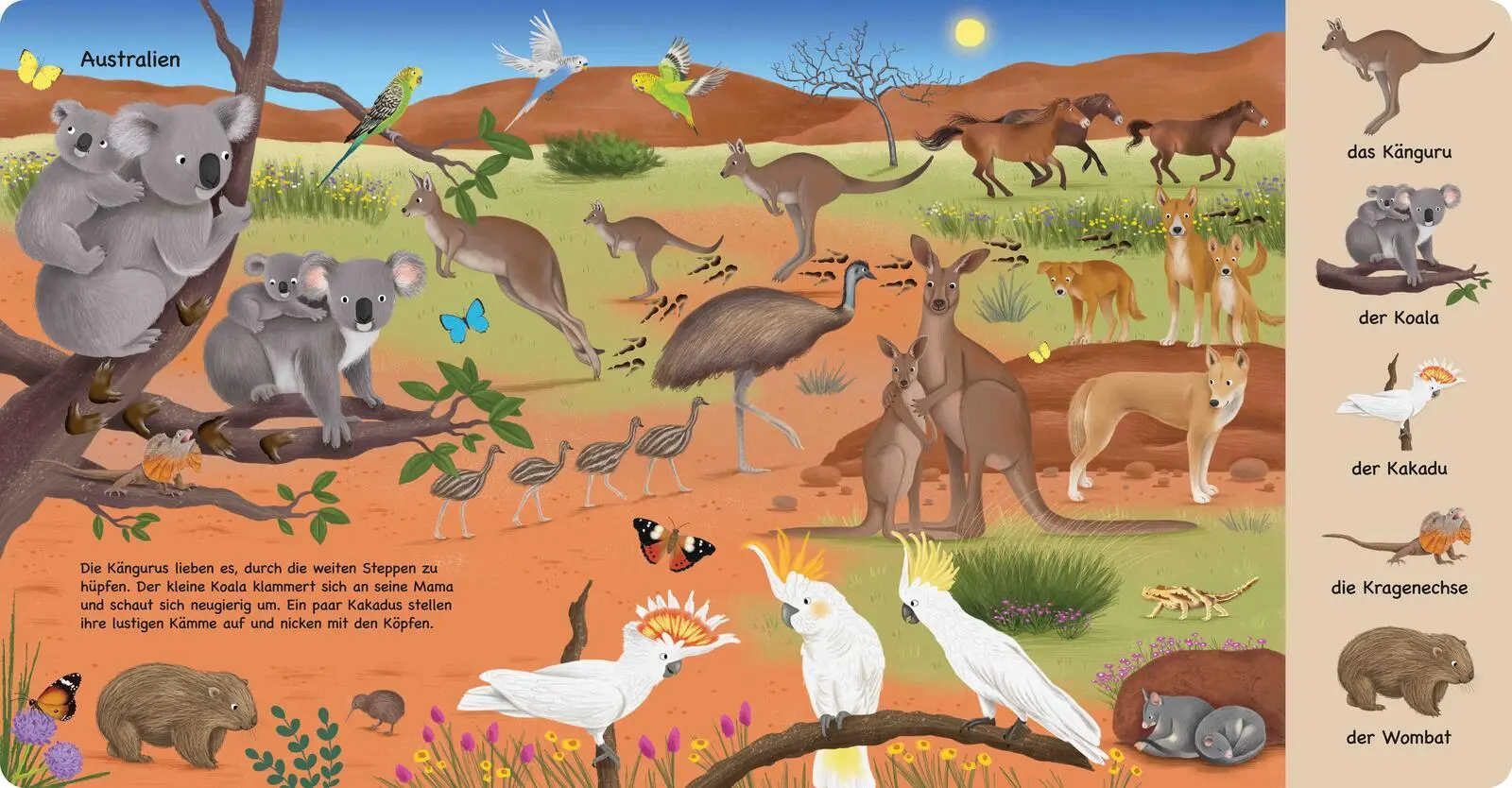 Bild: 9783480241378 | Tiere aus aller Welt | Katharina Lotz | Buch | 16 S. | Deutsch | 2026