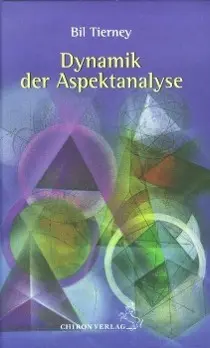 Cover: 9783899971378 | Dynamik der Aspektanalyse | Bil Tierney | Buch | 358 S. | Deutsch