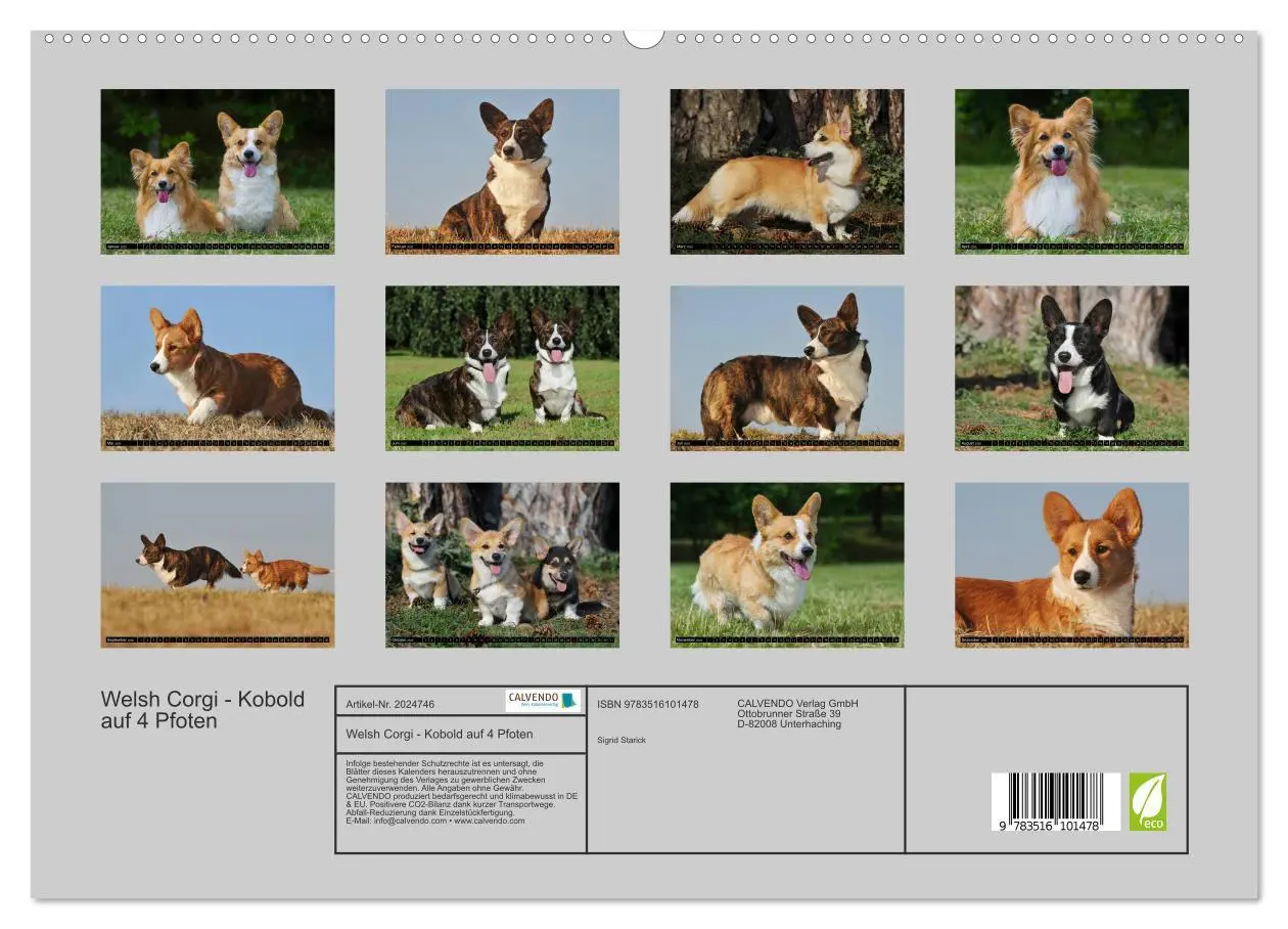 Bild: 9783516101478 | Welsh Corgi - Kobold auf 4 Pfoten (hochwertiger Premium...