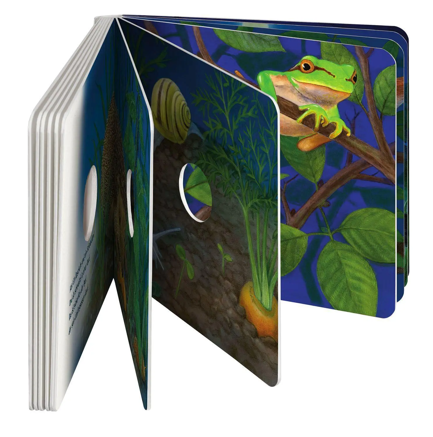 Bild: 9783440171578 | Guck mal tief in die Nacht | Lisa Apfelbacher (u. a.) | Buch | 24 S.