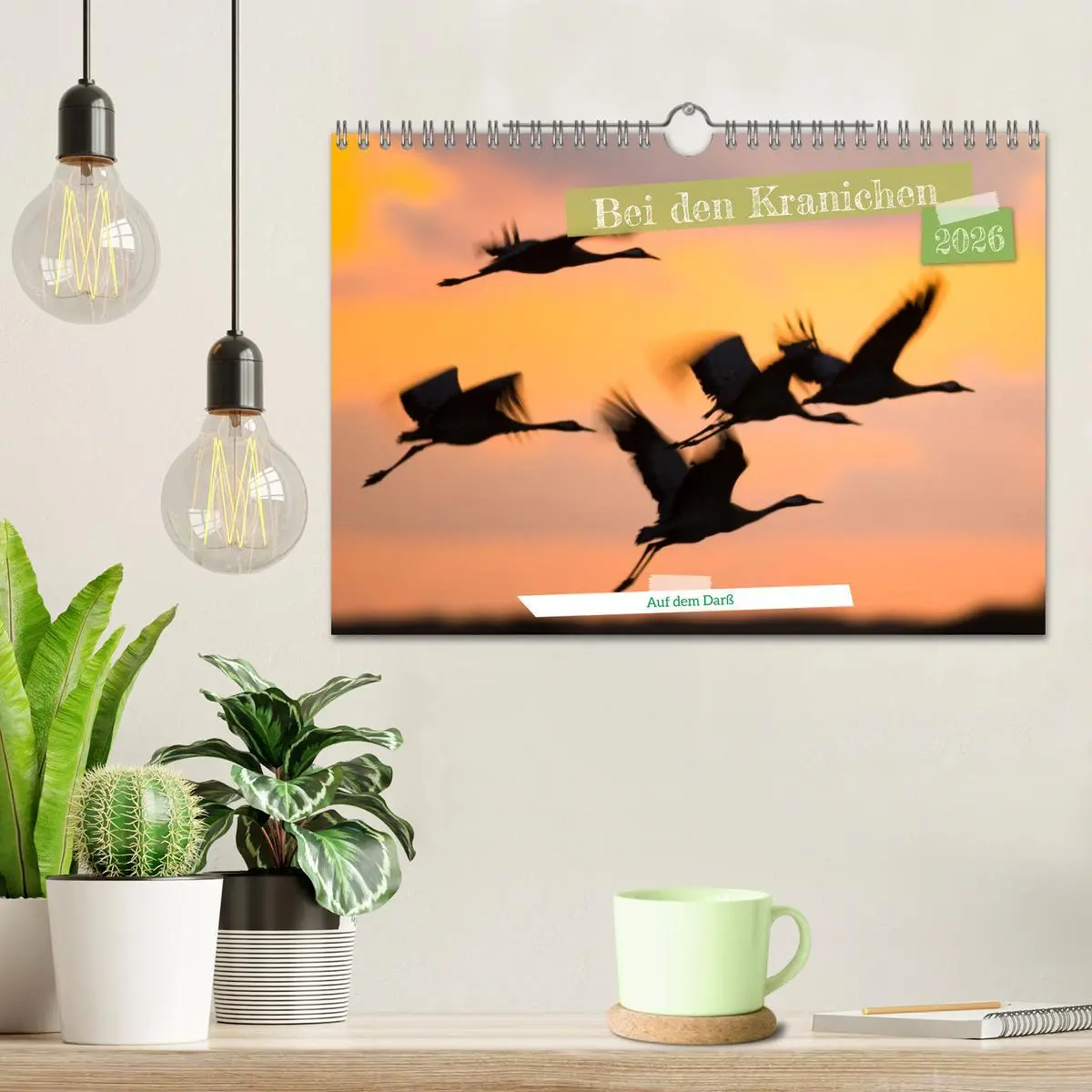 Bild: 9783457551578 | Bei den Kranichen (Wandkalender 2026 DIN A4 quer), CALVENDO...
