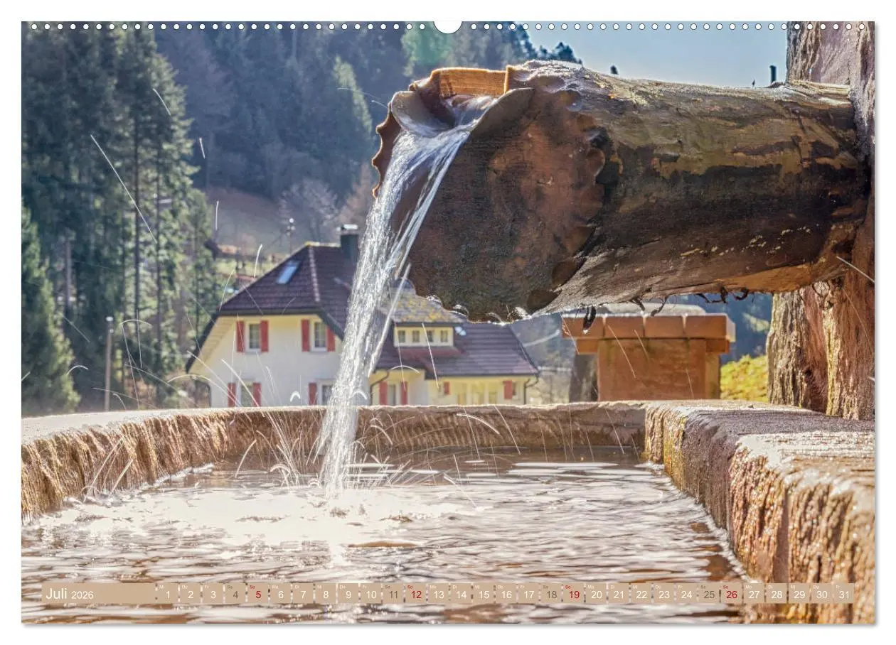 Bild: 9783457861578 | Die Jahreszeiten im Nordschwarzwald (Wandkalender 2026 DIN A2...