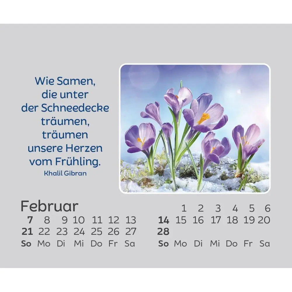Bild: 9783754861578 | Hoffnung für jeden Tag 2027 | Kalender | Spiralbindung | 14 S. | 2027