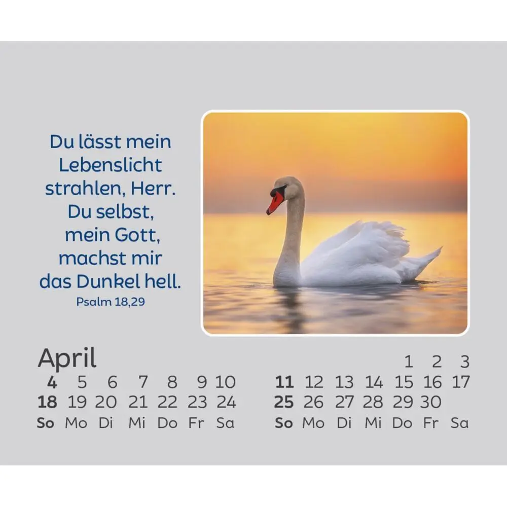 Bild: 9783754861578 | Hoffnung für jeden Tag 2027 | Kalender | Spiralbindung | 14 S. | 2027